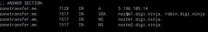 Dig utility DNS record enumeration output